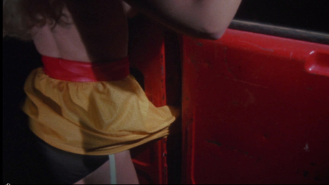 Pic: Linda Shayne in Screwballs (1983)