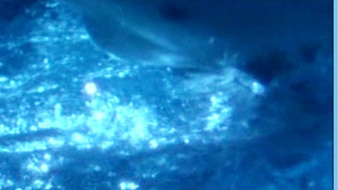 Pic: Sandrina Nitschke in In einer Nacht wie dieser