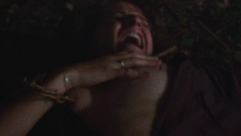 Pic: Ellen Sandweiss in The Evil Dead
