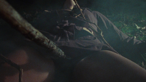 Pic: Ellen Sandweiss in The Evil Dead