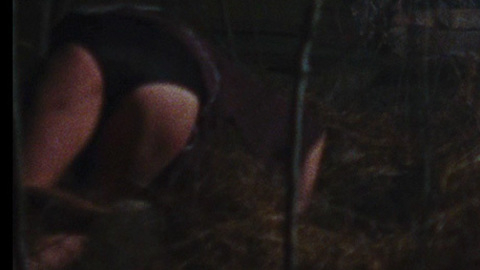 Pic: Ellen Sandweiss in The Evil Dead