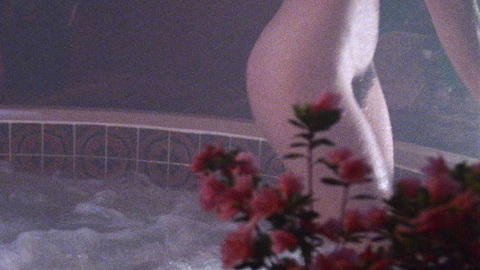 Pic: Crystal Smith in Hot Dog... The Movie