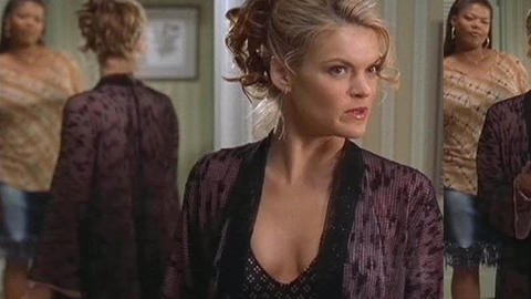 Pic: Missi Pyle in Bringing Down the House