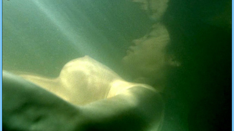 Pic: Eugenia Yuan in Three... Extremes II