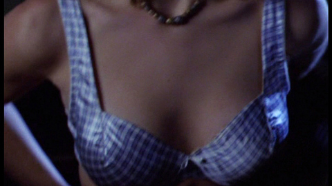 Pic: Nicki Aycox in Significant Others (1998)