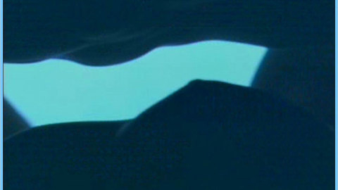 Pic: Emily Blunt in Irresistible