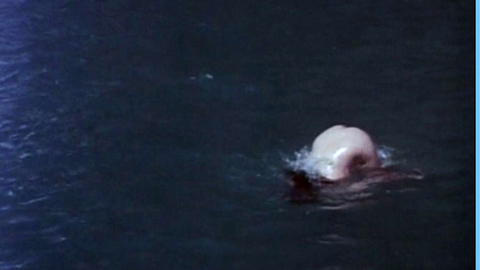 Pic: Alicia Alonzo in The Mad Doctor of Blood Island