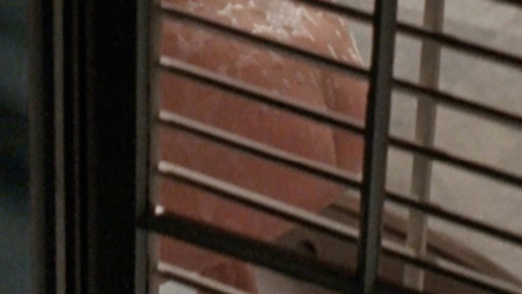 Pic: Rebecca Miller in Consenting Adults