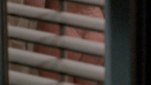 Pic: Rebecca Miller in Consenting Adults (1992)