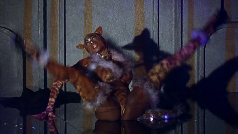 Pic: PaSean Wilson in Striptease