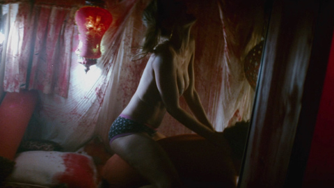 Pic: Ashley Scott in Strange Wilderness