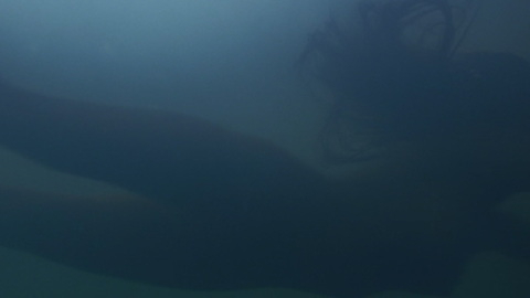 Pic: Bevin Kaye in Big Fish