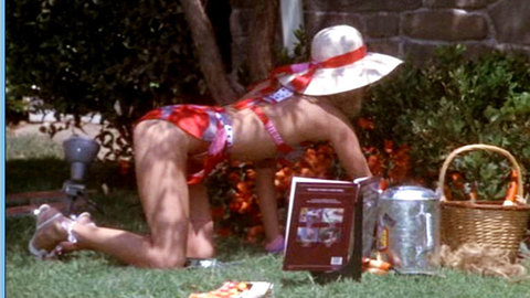 Pic: Wendy Schaal in The 'Burbs