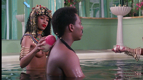 Pic: Felicia Taylor in Coming to America