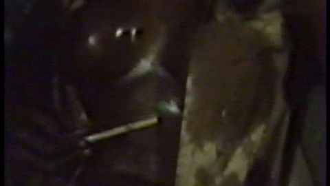 Pic: Ajita Wilson in Hotel Paradise