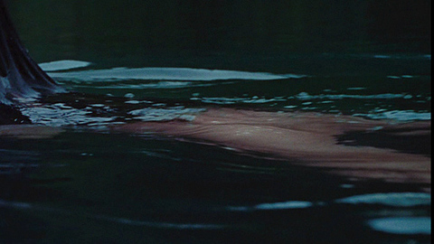 Pic: Megan Fox in Jennifer's Body