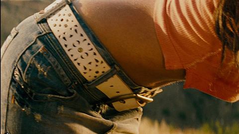 Pic: Megan Fox in Transformers (2007)