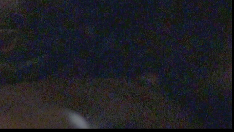 Pic: Golden Brooks in The Inheritance