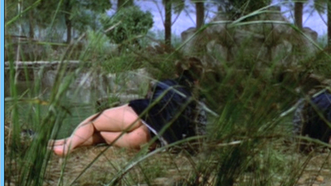 Pic: Chen Ping in The Vengeful Beauty