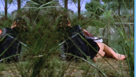 Pic: Chen Ping in The Vengeful Beauty