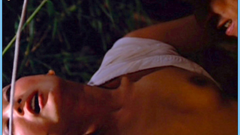 Pic: Chen Ping in The Golden Lotus