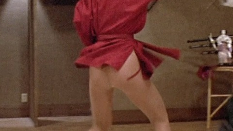 Pic: Ashley Ferrare in Revenge of the Ninja