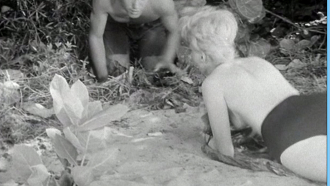 Pic: Tania Velia in Fiend of Dope Island