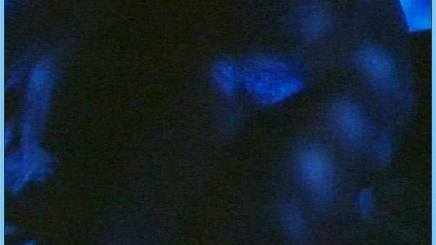 Pic: Analía Gadé in Cartas de amor de una monja