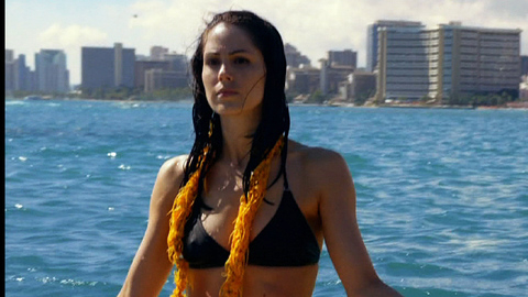 Pic: Michelle Borth in Hawaii Five-0