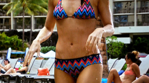 Pic: Michelle Borth in Hawaii Five-0