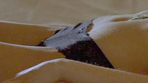 Pic: Taylor Cole in Finish Line