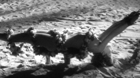 Pic: Sally Rand in The Sign of the Cross