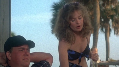Pic: Karen Austin in Summer Rental