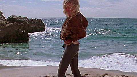 Pic: Malin Åkerman in The Heartbreak Kid