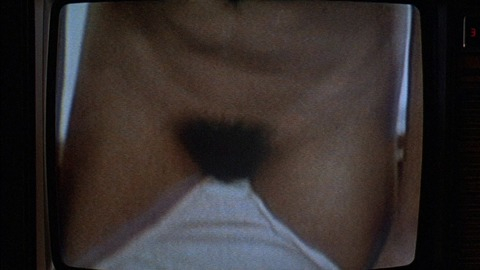 Pic: Lisa Welch in Revenge of the Nerds
