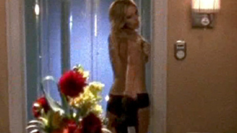 Pic: Karolina Kurkova in Chuck