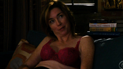 Pic: Julianne Nicholson in The Good Wife