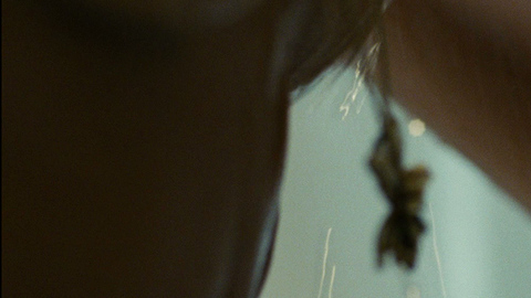 Pic: Zoe Saldana in Colombiana