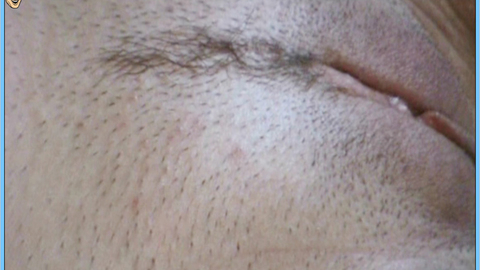 Pic: Michelle Bond in Rossa Venezia