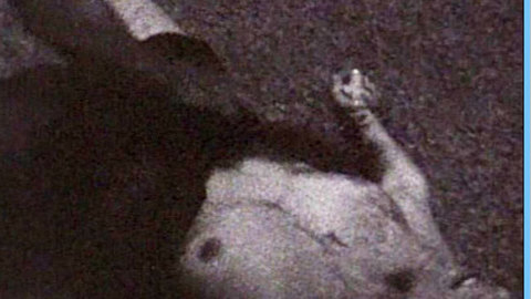 Pic: Karen Wexler in Night Owl