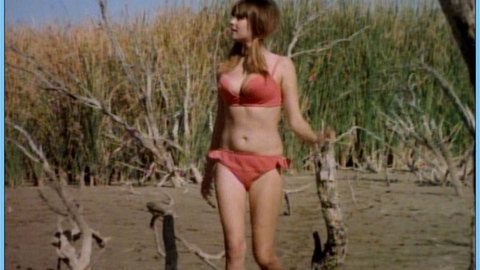 Pic: Vicky Dee in Common Law Cabin