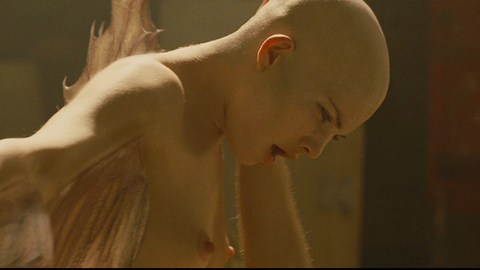 Pic: Delphine Chanéac in Splice