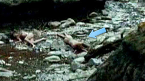 Pic: Kata Dobó in Blood and Chocolate