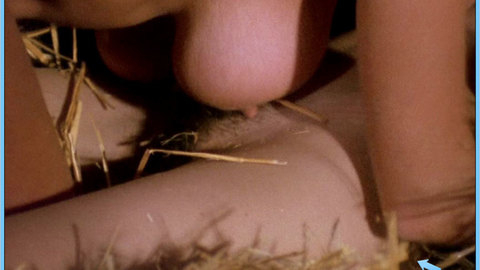Pic: Dee Dee Levitt in Fantasm Comes Again