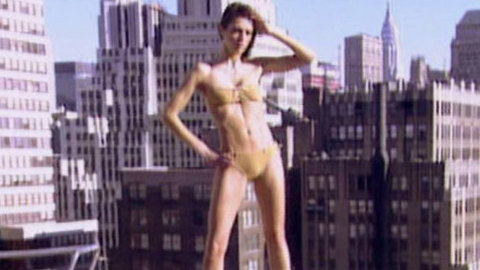 Pic: Adrianne Curry in America's Next Top Model