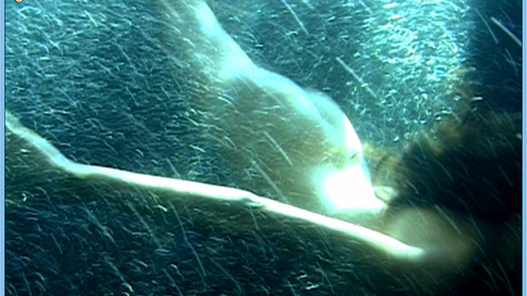 Pic: Tatiana Abracos in The Girl from Monday