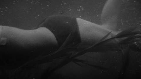 Pic: Luana Anders in Dementia 13