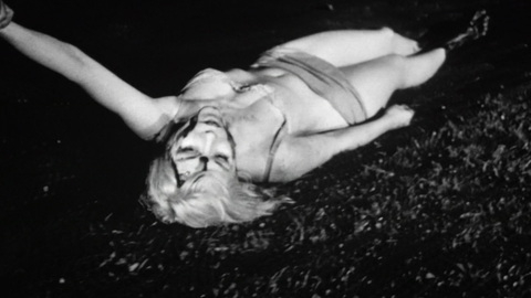 Pic: Luana Anders in Dementia 13