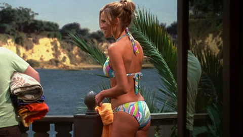 Pic: Tricia Helfer in Two and a Half Men