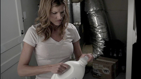 Pic: Tricia Helfer in Open House